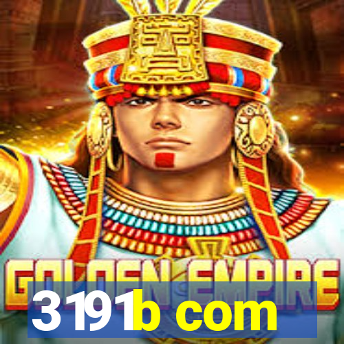 3191b com